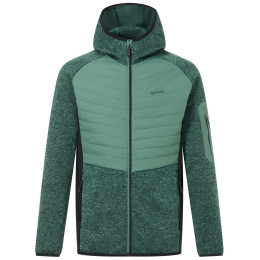 Muška hibridna jakna Regatta Newhill Hybrid zelena/crna DkFrstGr/Blk