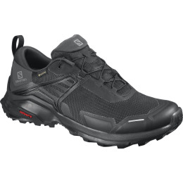 Muška obuća Salomon X Raise GTX crna Black