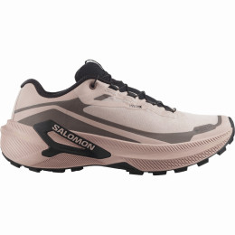 Ženske tenisice za trčanje Salomon Genesis 2 Gtx W