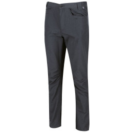 Muške hlače Regatta Delgado Trousers