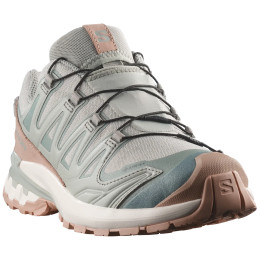 Ženske cipele Salomon Xa Pro 3D V9 Gore-Tex Lifelong