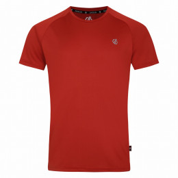 Muška majica Dare 2b Accelerate Tee Tamno crvena Tuscan Red