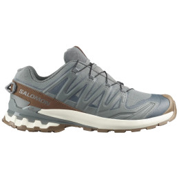 Muške cipele Salomon Xa Pro 3D V9 Gore-Tex Lifelong