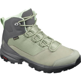 Ženske cipele Salomon Outward GTX W svijetlo zelena Shadow