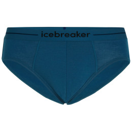 Muško donje rublje Icebreaker Mens Anatomica Briefs