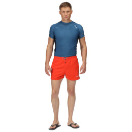 Muška majica Regatta SS Rash Guard plava