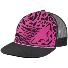 Šilterica Dynafit Graphic Trucker Cap