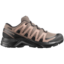 Muške cipele za planinarenje Salomon X-Adventure Recon Gore Tex