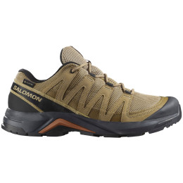 Muške cipele za planinarenje Salomon X-Adventure Recon Gore Tex