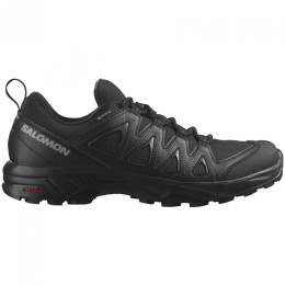 Muška obuća Salomon X Braze Gore-Tex crna Black