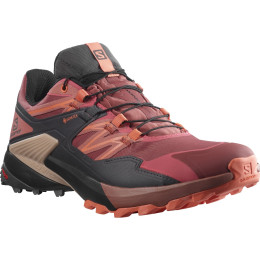 Ženske cipele Salomon Wings Sky Gore-Tex crvena AppleButter