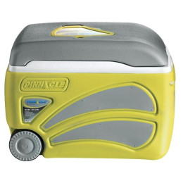 Prijenosni hladnjaci Pinnacle Proxon 45L siva/žuta Lime