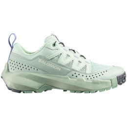 Ženske cipele Salomon Terramphibian W