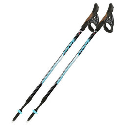 Štapovi Fizan NW Speed