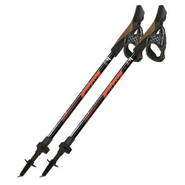 Štapovi za nordijsko hodanje Fizan R-Evolution Pro