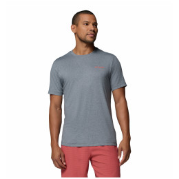 Muška majica Columbia Parsons Point™ SS Back Graphic Tee siva City Grey Heather, Linear Peaks