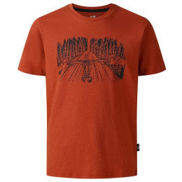 Dječja majica Dare 2b Trailbazer III Tee Arabian Spice smeđa ArabianSpice