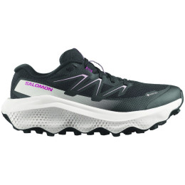 Ženske tenisice za trčanje Salomon Ultra Flow 2 Gore-Tex