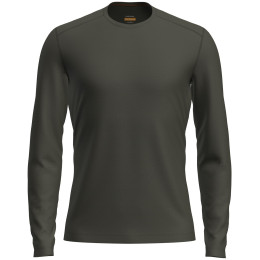 Muška majica Icebreaker Mens 200 Oasis LS Crewe