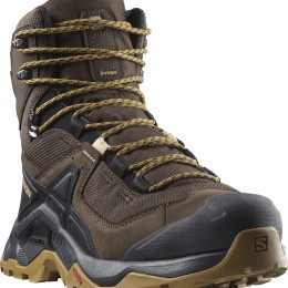 Muške cipele za planinarenje Salomon Quest Element Gore-Tex crna /smeđa