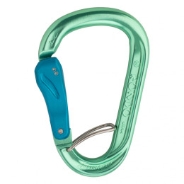 Karabiner AustriAlpin Rondo HMS Slide Autolock Selfie zelena