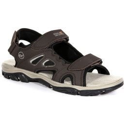 Muške sandale Regatta Holcombe Vent