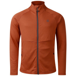 Muška dukserica Dare 2b Apex Stretch Midlayer smeđa ArabianSpice