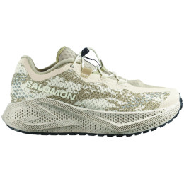 Ženske cipele Salomon Aero Glide 4 Grvl