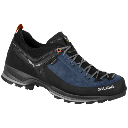 Muška obuća Salewa Ms Mtn Trainer 2 Gtx