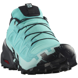 Ženske cipele Salomon Speedcross 6 Gore-Tex