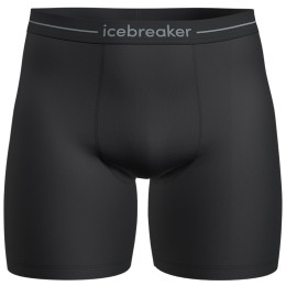 Muške bokserice Icebreaker M Anatomica Long Boxers crna Black