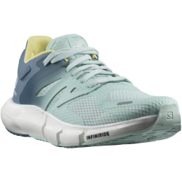 Ženske cipele Salomon Predict 2