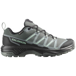 Ženske planinske cipele Salomon Exraise Gtx W zelena/siva Urban Chic / Black / Lichen