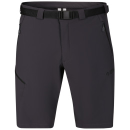 Muške kratke hlače Direct Alpine Cruise Shorts 3.0 crna/siva anthracite