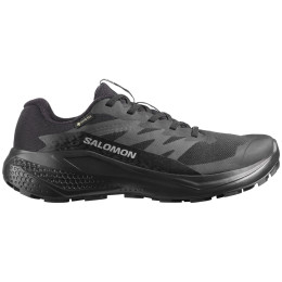 Ženske cipele Salomon Alphaglide Gore-Tex