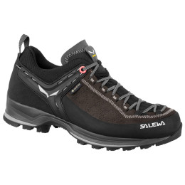 Ženske cipele Salewa Ws Mtn Trainer 2 Gtx
