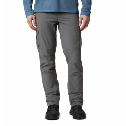 Muške hlače Columbia Silver Ridge™ II Cargo Pant siva CityGray