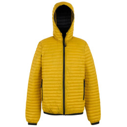 Muška jakna Regatta Rigain