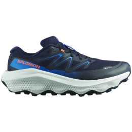 Muške cipele Salomon Ultra Flow 2 Gore-Tex