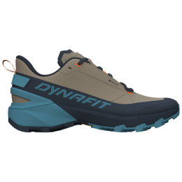 Muške tenisice za trčanje Dynafit Transalper 2 Gtx zelena/plava 3014 - Blueberry/Fallen Rock