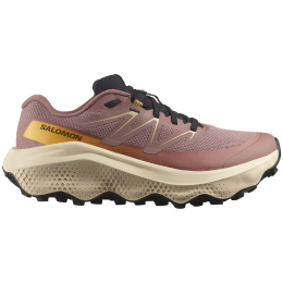 Ženske tenisice za trčanje Salomon Ultra Flow 2 Gore-Tex