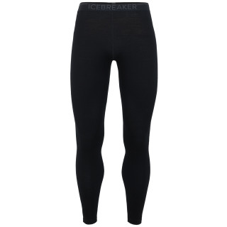 Muške gaće Icebreaker Mens 260 Tech Leggings crna Black