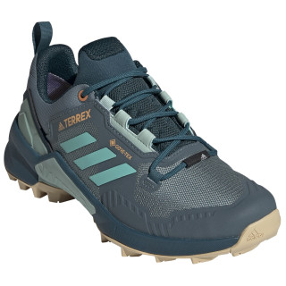 Ženske cipele Adidas Terrex Swift R3 Gtx