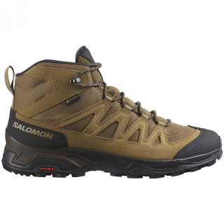 Muška obuća Salomon X Ward Leather Mid Gore-Tex