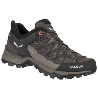 Ženske cipele Salewa Ws Mtn Trainer Lite Gtx siva