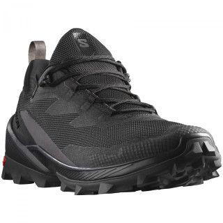 Muška obuća Salomon Cross Over 2 Gore-Tex