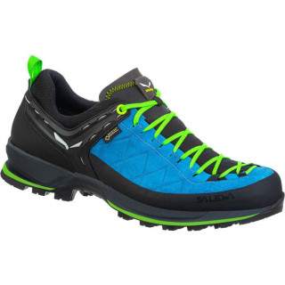 Muške cipele Salewa Ms Mtn Trainer 2 Gtx