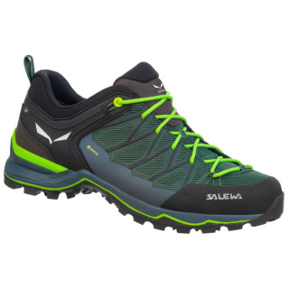 Muške cipele Salewa Ms Mtn Trainer Lite Gtx crna/zelena Myrtle/OmbreBlue