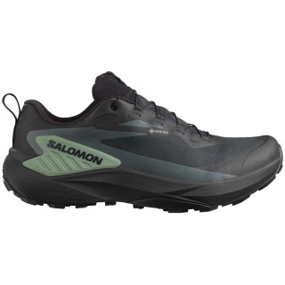 Muška obuća Salomon Genesis Gore-Tex crna/zelena Black / Agave Green / Urban Chic