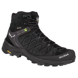 Salewa Ms Alp Trainer 2 Mid Gtx